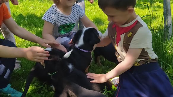 Návštěva štěňátek