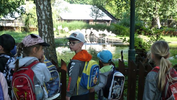 Školní výlet do ZOO v Hodoníně.